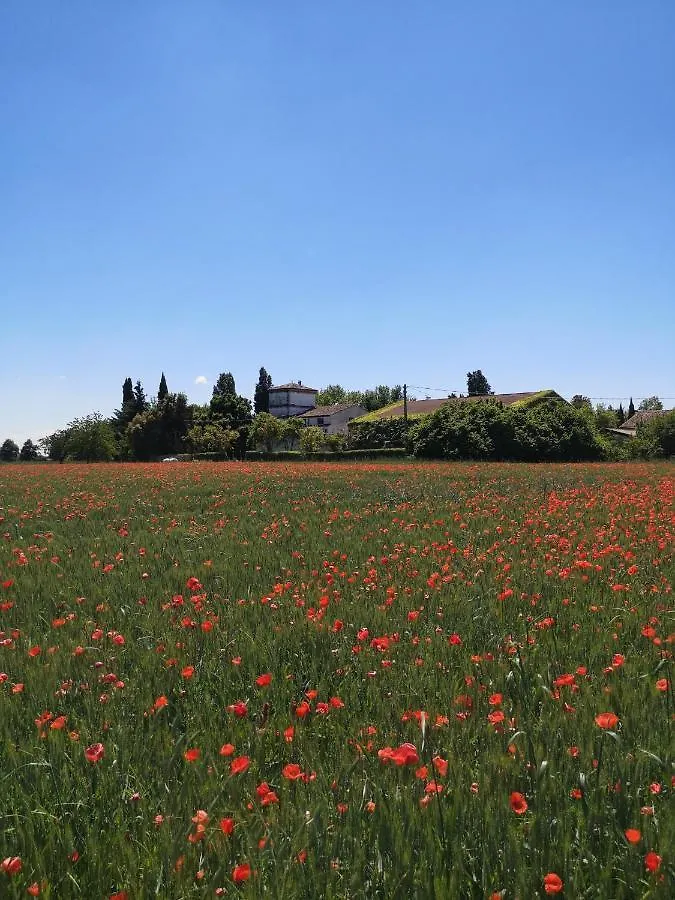 Alloggio per agriturismo Agriturismo Corte Spino Nogarole Rocca